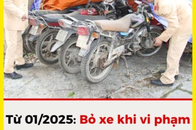 Từ 01/2025: Bỏ xe khi vi phạm có thể bị ph:ạt 12 triệu và tính lãi tiền ph;ạt 