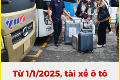 Từ 1/1/2025, tài xế ô tô kinh doanh vận tải không lái xe quá 10 giờ/ngày 