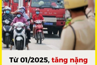 Từ 01/01/2025, tăng nặng mức ph;ạt không nhường đường cho xe ưu tiên 