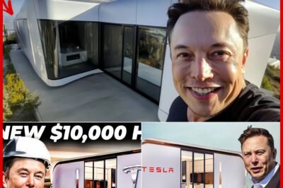 IS THIS THE FUTURE OF HOUSING? ELON MUSK’S AFFORDABLE $10K HOUSE COULD CHANGE EVERYTHING!