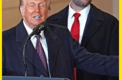 “Not happening!” Trump dismisses J.D. Vance as his political heir