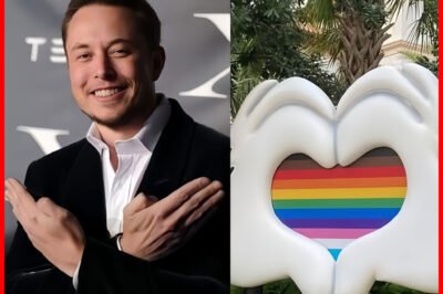 Breaking news: Elon Musk bans Disney Pride content from X, stating that ‘Woke’ ideology is not for kids!