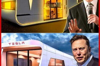 IS THIS THE FUTURE OF HOUSING? ELON MUSK’S AFFORDABLE $10K HOUSE COULD CHANGE EVERYTHING!