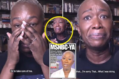 Joy Reid EXPLODES AFTER MSNBC FIRING—SAYS THE REASON IS UNBELIEVABLE!