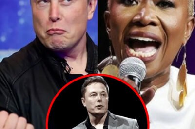 MSNBC IN PANIC AFTER ELON MUSK’S AGGRESSIVE BID TO TAKE OVER!