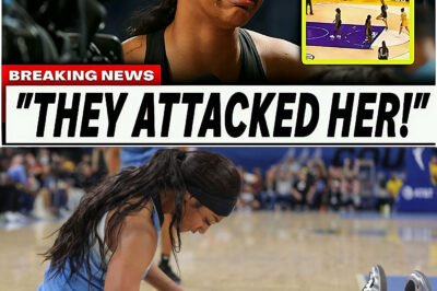 HOT NEWS: Angel Reese in Tears After Fans Throw Objects During WNBA Game