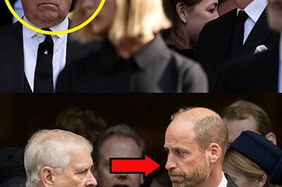 “DONT’T TALK TO ME”: Furious William STRIKES BACK Being “Ambushed” by Prince Andrew at Duke of Kent’s Funeral – Tense 5-Word Exchange Stuns the Palace